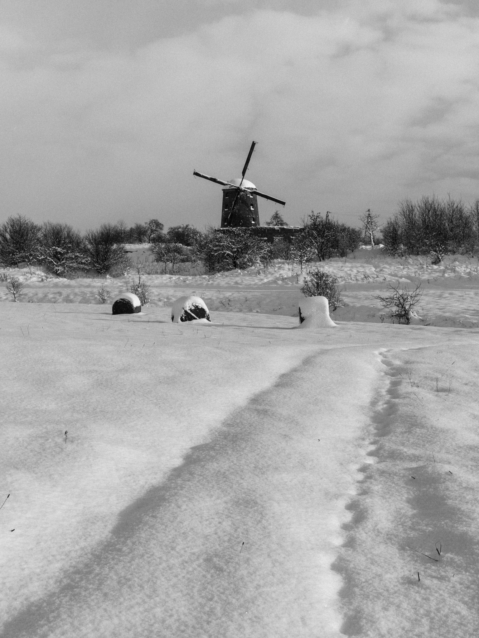 Młyn wiatrowy w Zdrzewnie