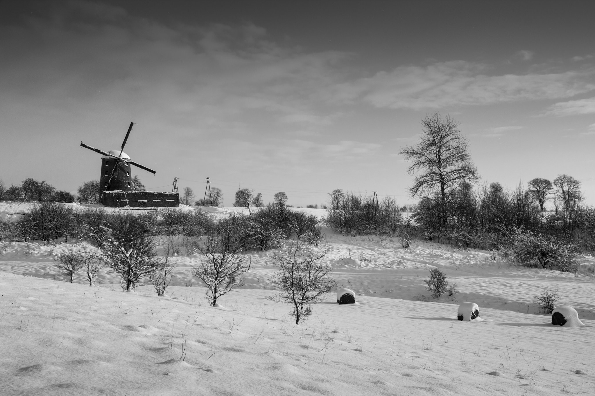 Młyn wiatrowy w Zdrzewnie