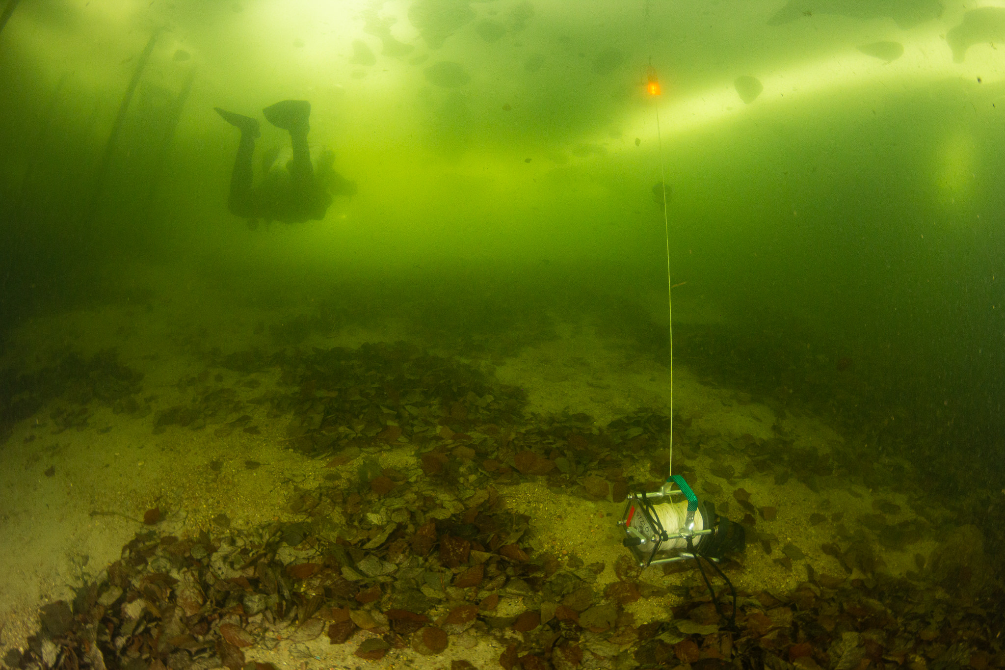 Nurkowanie pod lodem - marker