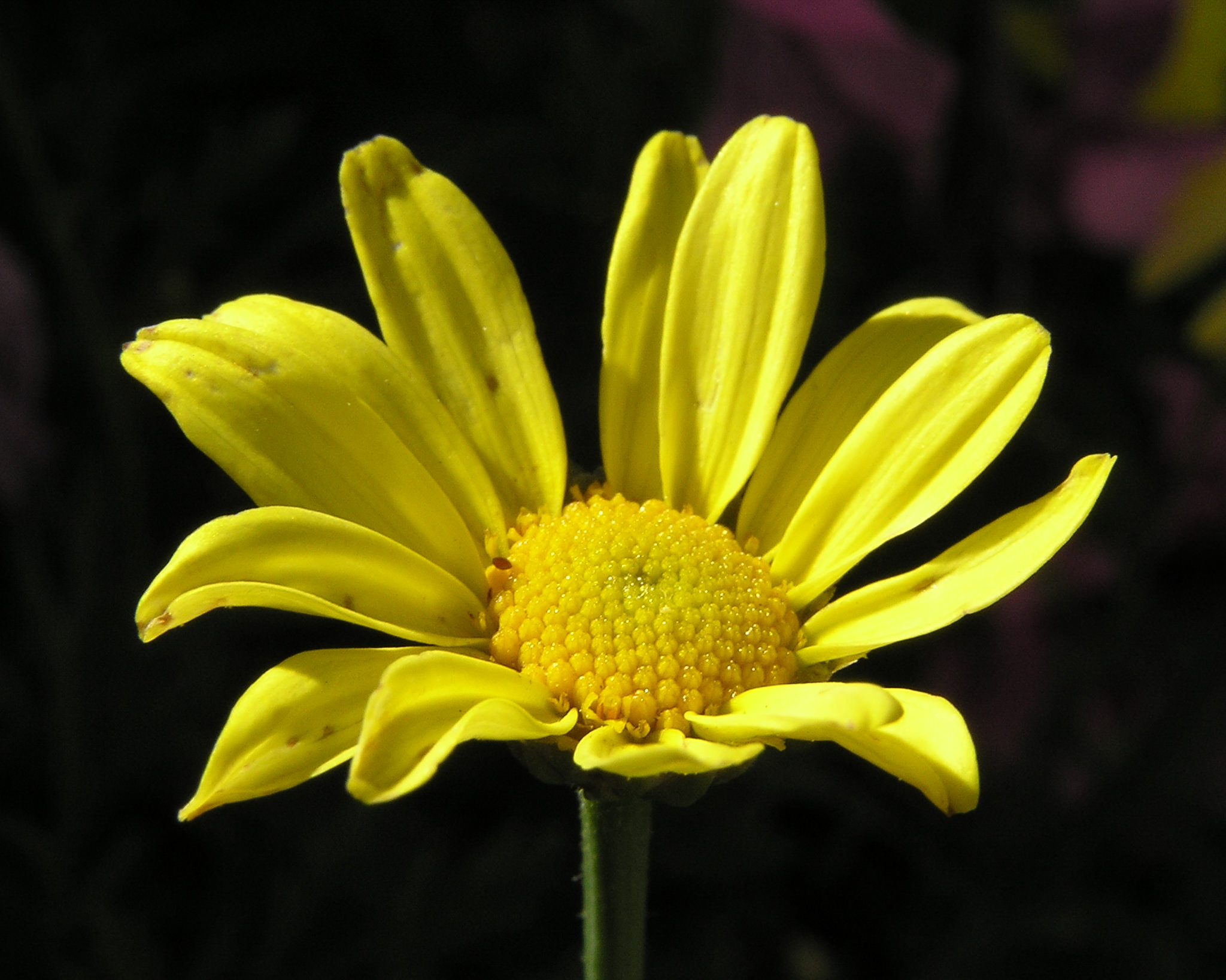 Fotografia przyodnicza - Maciej Kolasiński - Galeria fotografii - Portfolio