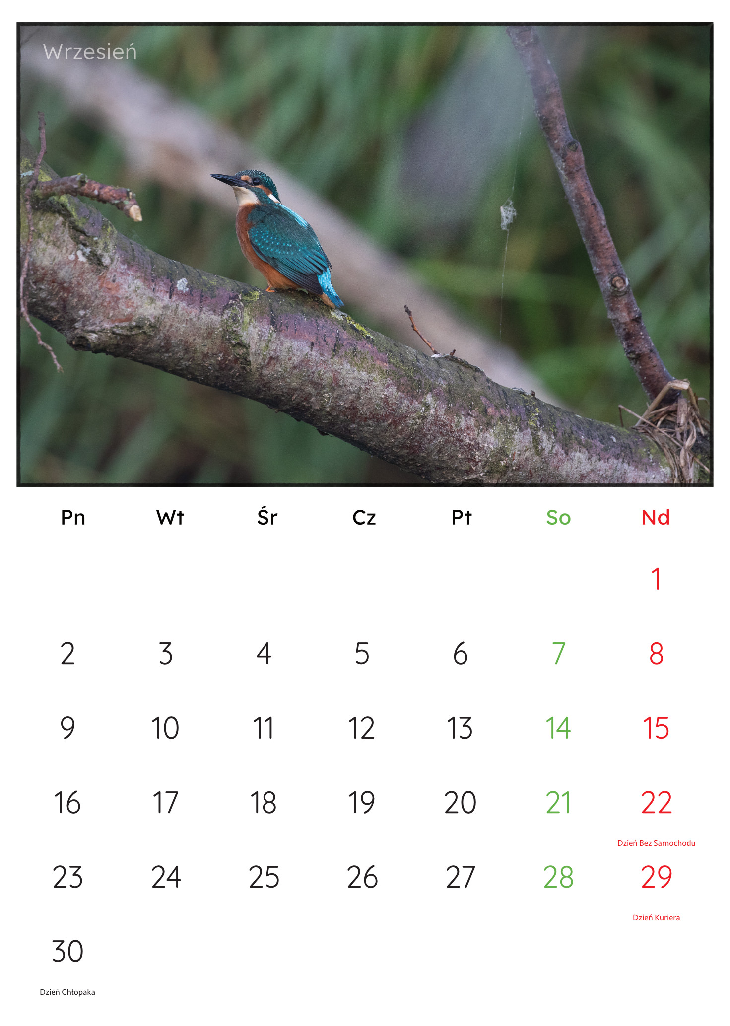 30x45_PremiumMatte.idml