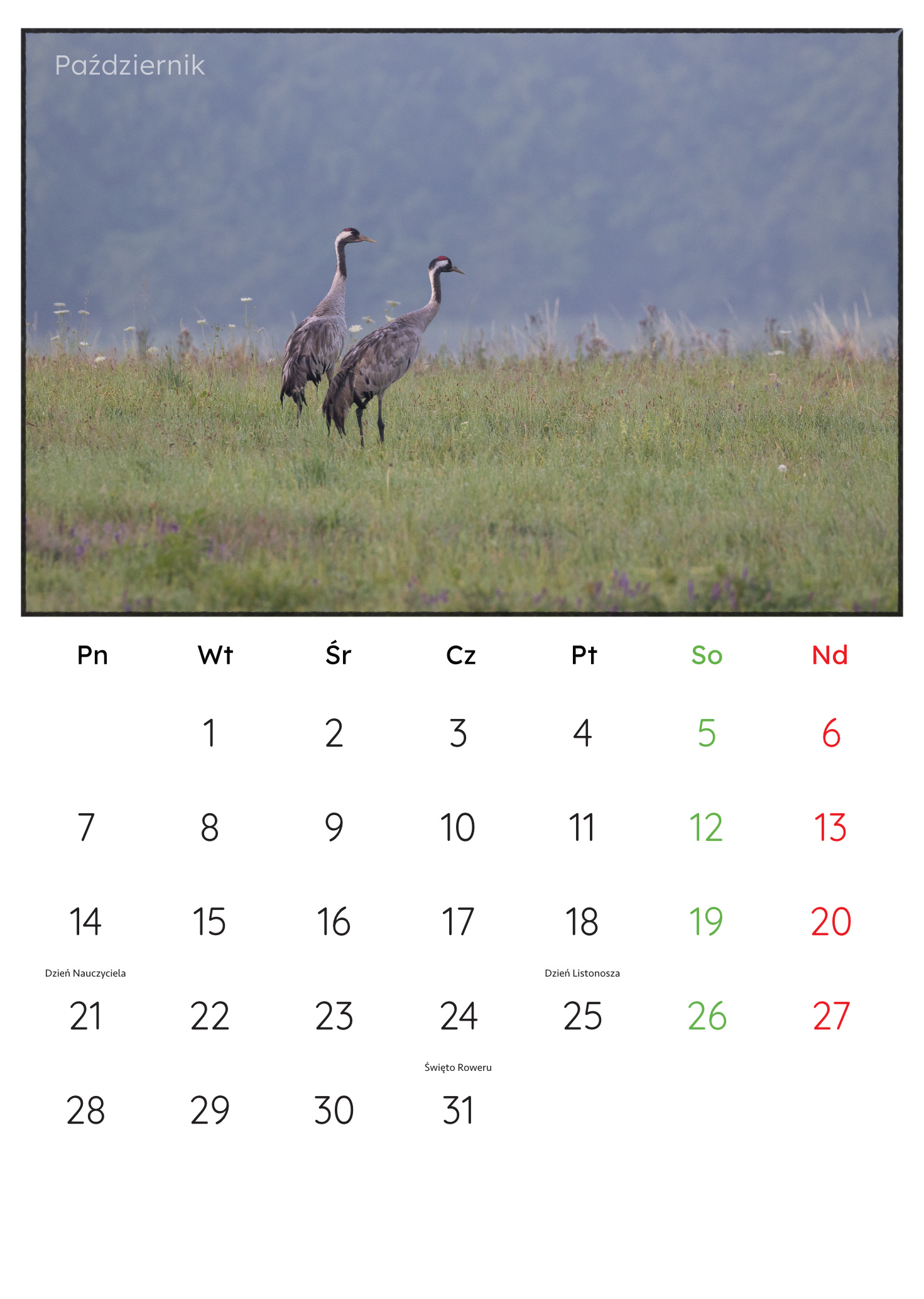 30x45_PremiumMatte.idml