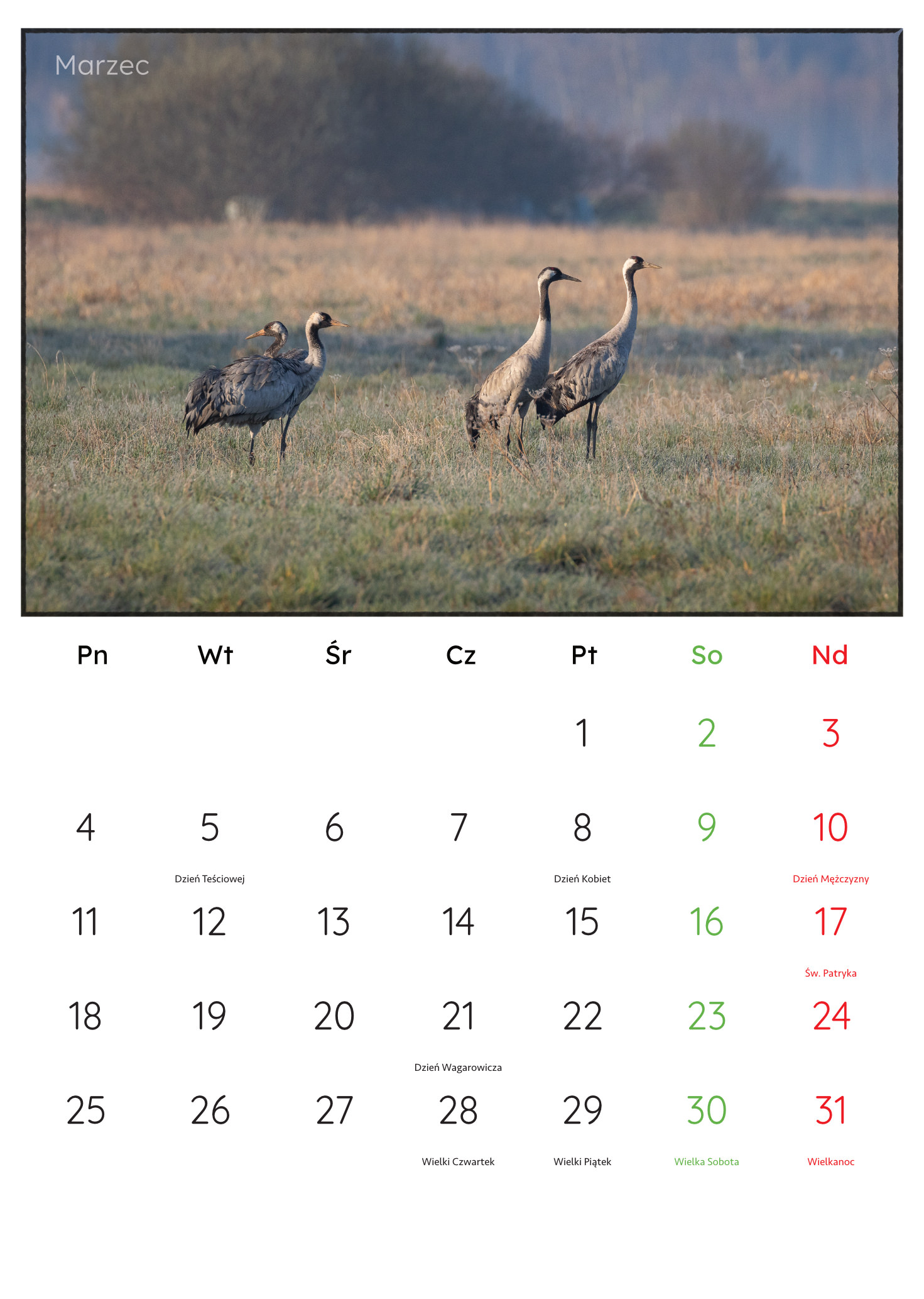 30x45_PremiumMatte.idml