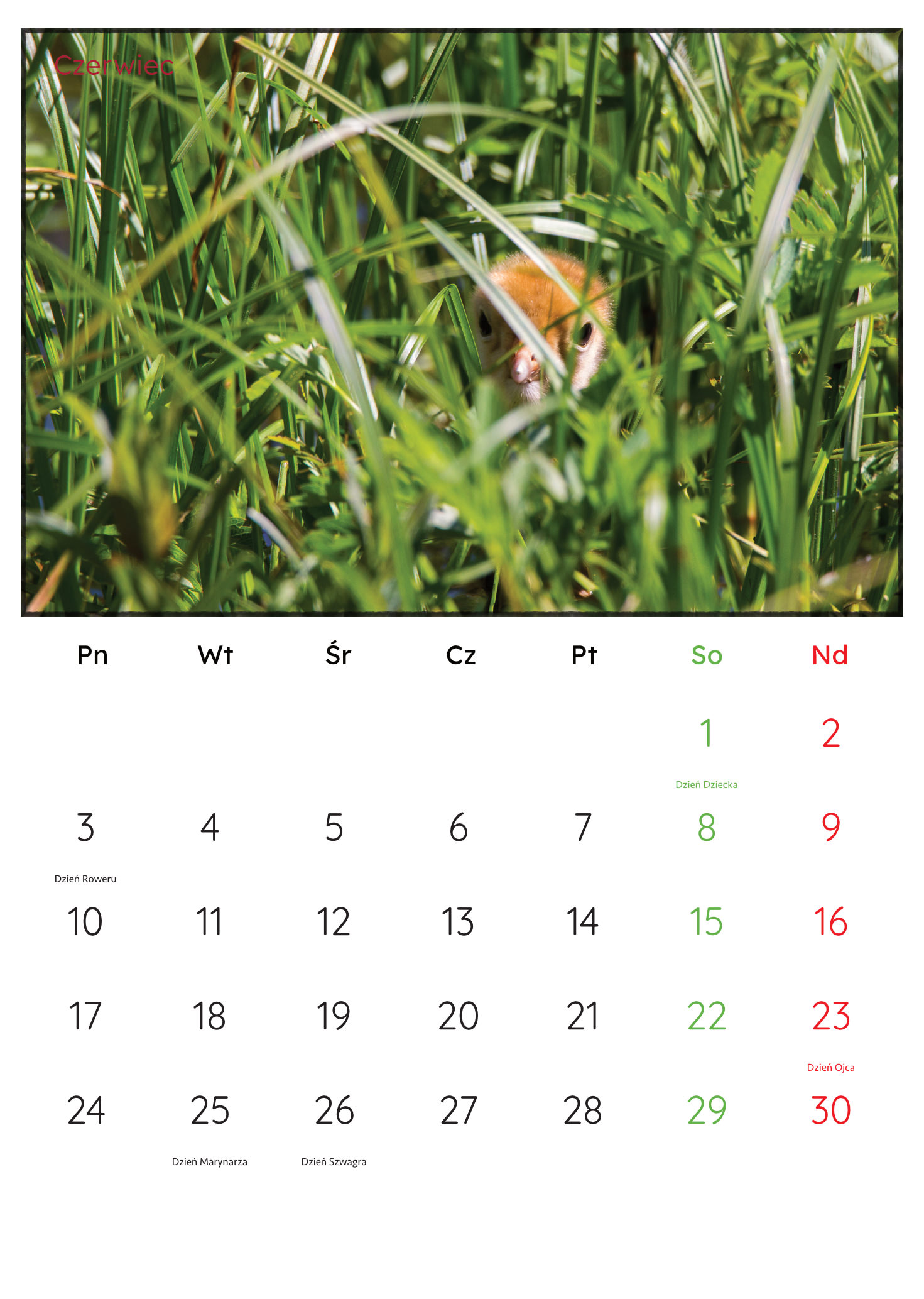 30x45_PremiumMatte.idml