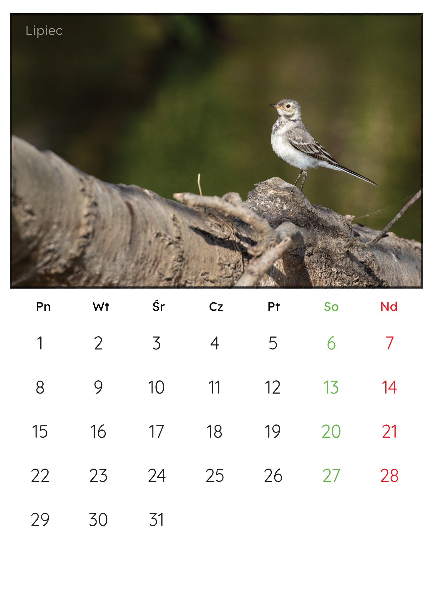 30x45_PremiumMatte.idml