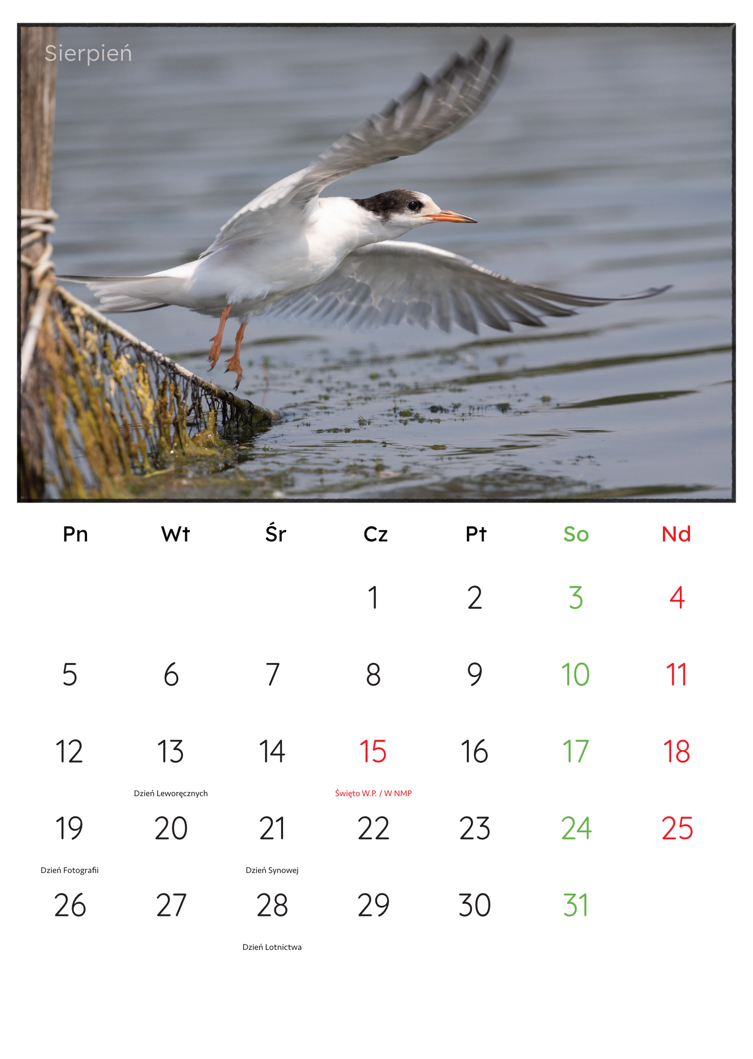 30x45_PremiumMatte.idml